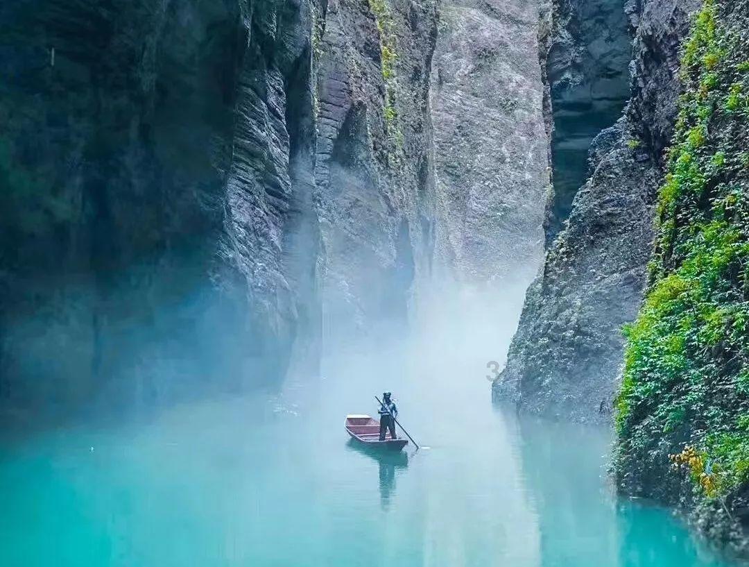逃离神秘老林
